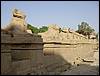 DSC01323.JPG