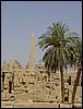 DSC01336.JPG