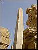 DSC01338.JPG