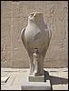 DSC01366.JPG