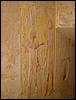 DSC01508.JPG
