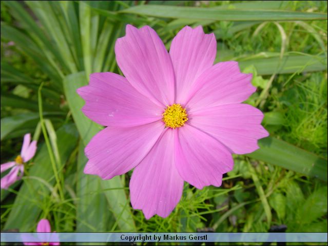 DSC00636.JPG