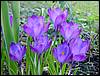 DSC00346.JPG