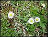 DSC00402.JPG