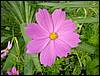 DSC00636.JPG