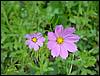 DSC00640.JPG