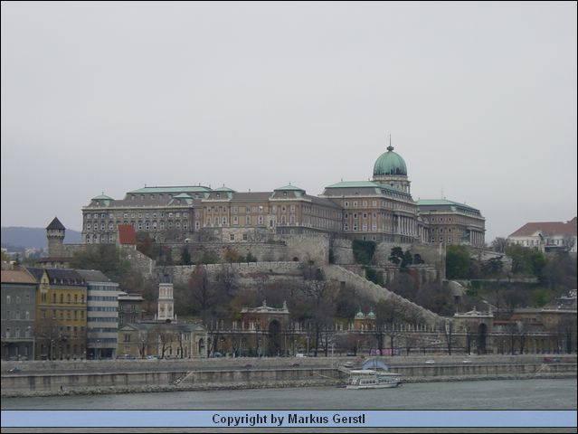 DSC01197.JPG