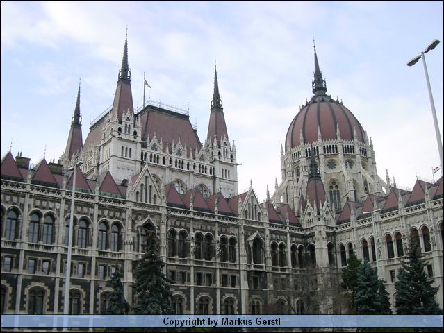 DSC01206.JPG