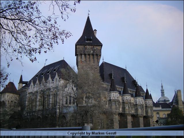 DSC01217.JPG
