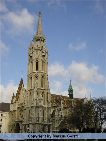 DSC01258.JPG