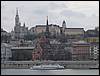DSC01202.JPG