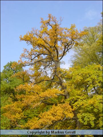 Bild 020.jpg