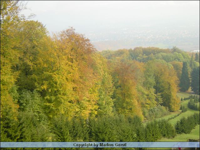 Bild 040.jpg