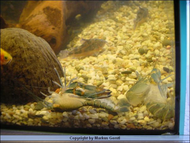 DSC00198.JPG