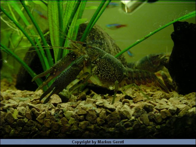 DSC01110.JPG