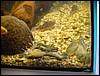 DSC00198.JPG