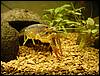 DSC00567.JPG