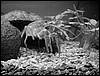 DSC00569.JPG