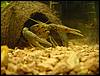 DSC00575.JPG
