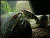 DSC00689.JPG
