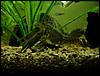 DSC01110.JPG