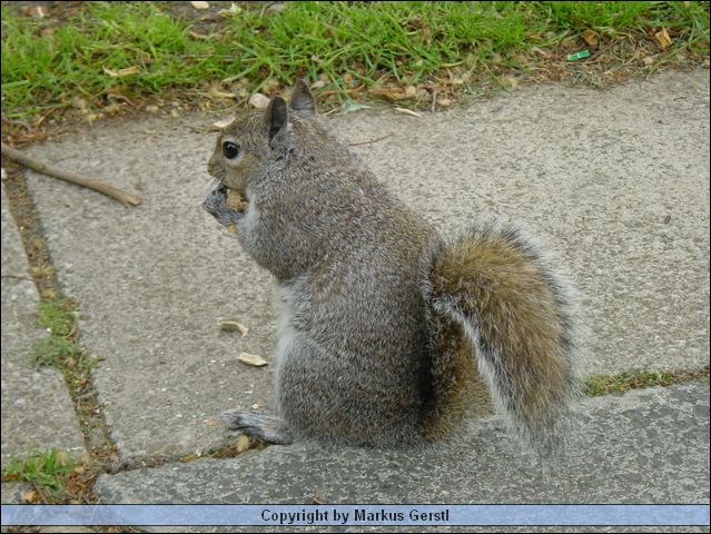 DSC00371.JPG