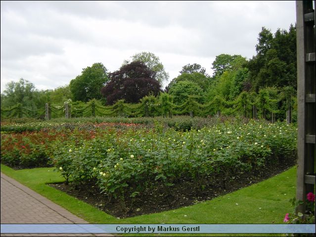 DSC00393.JPG