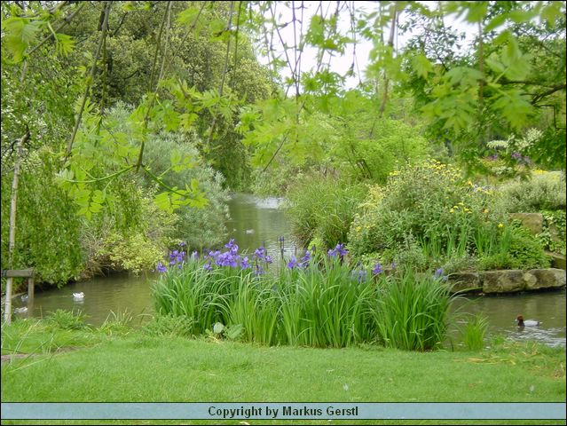 DSC00396.JPG