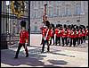 DSC00316.JPG