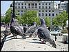 DSC00325.JPG