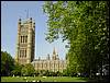 DSC00334.JPG