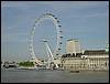 DSC00341.JPG