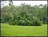 DSC00364.JPG
