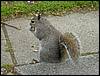 DSC00371.JPG