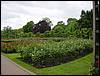 DSC00393.JPG