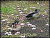 DSC00394.JPG