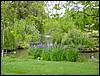 DSC00396.JPG