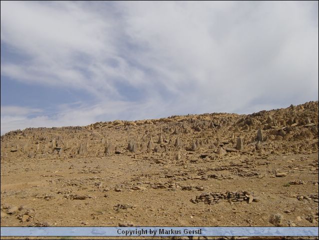 DSC00991.JPG