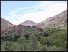 DSC01028.JPG