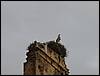 DSC01056.JPG