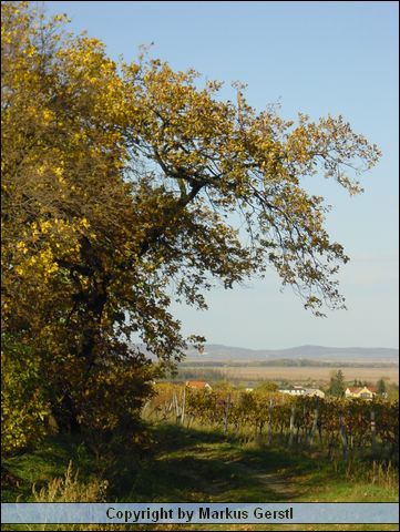 Bild 063.jpg