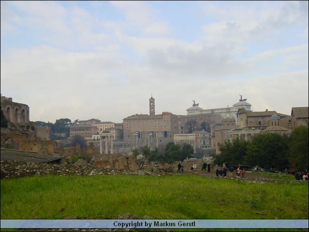DSC01371.JPG