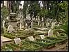 DSC01416.JPG