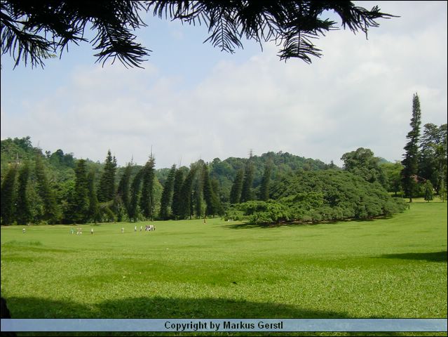 DSC00674.JPG