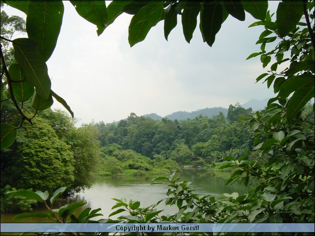 DSC00759.JPG