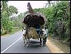 DSC00499.JPG