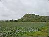 DSC00501.JPG