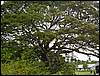 DSC00504.JPG