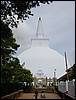 DSC00514.JPG