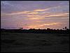DSC00546.JPG
